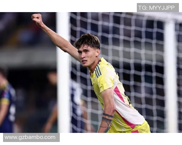 弗拉霍维奇：从天才前锋到足坛新星的成长之路与未来展望